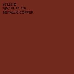 #71291D - Metallic Copper Color Image